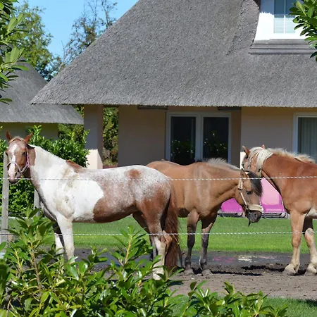 Reetdachhaus 6, Inkl 2 Parkplaetze Fehmarn