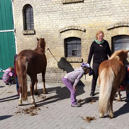 بيت للعطل Reetdachhaus 6, Inkl 2 Parkplaetze *