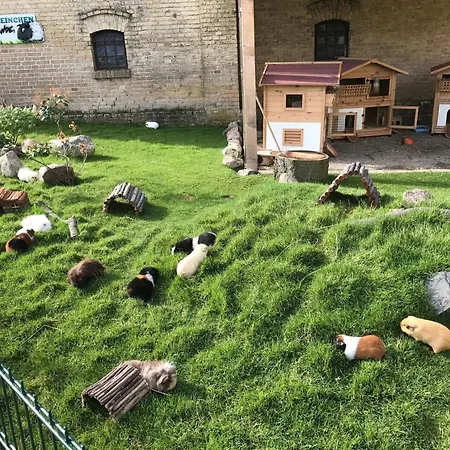 Reetdachhaus 6, Inkl 2 Parkplaetze بيت للعطل فيهمارن