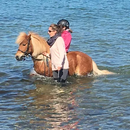 بيت للعطل Reetdachhaus 6, Inkl 2 Parkplaetze