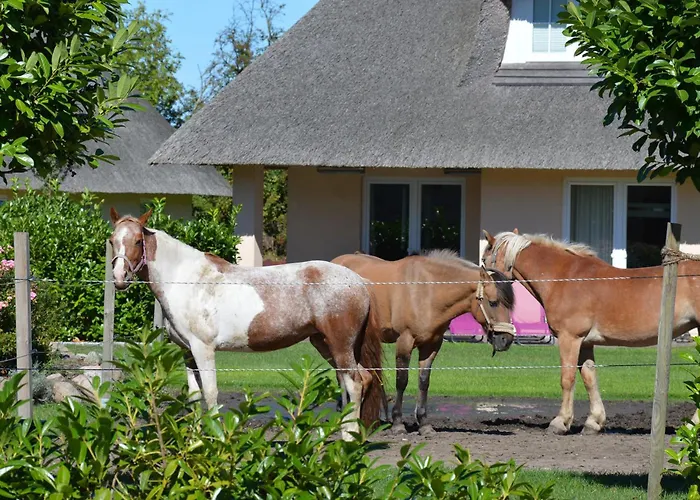 Reetdachhaus 6, Inkl 2 Parkplaetze Fehmarn