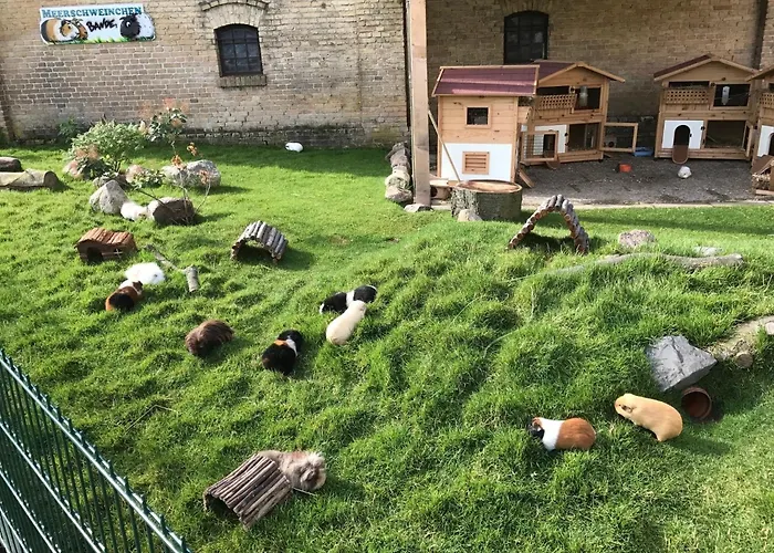 Reetdachhaus 6, Inkl 2 Parkplaetze Vakantiehuis Fehmarn